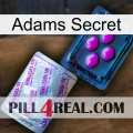 Adams Secret 37